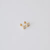 White Micro Clover de Roscas earrings